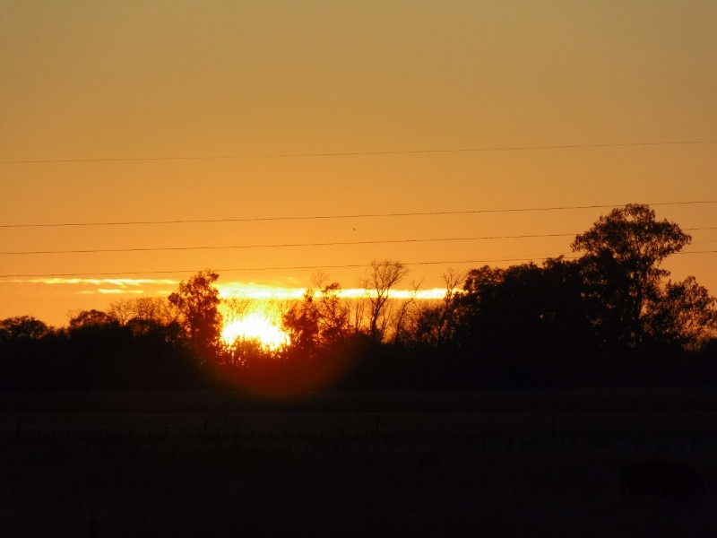 "amanecer" de Vernica Goral