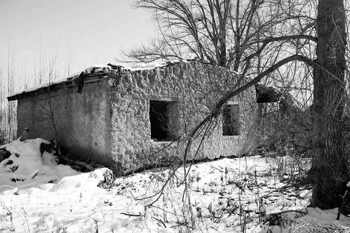 "La casa en la nieve" de Daniel De Bona