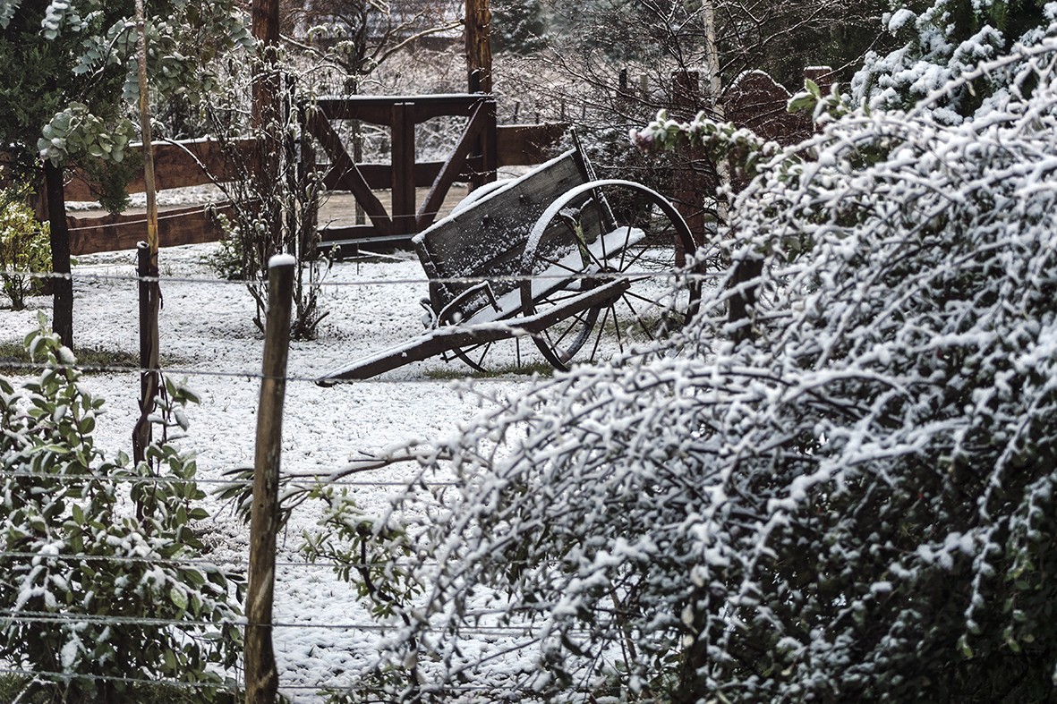 "Nevada en casa" de Carlos Francisco Montalbetti