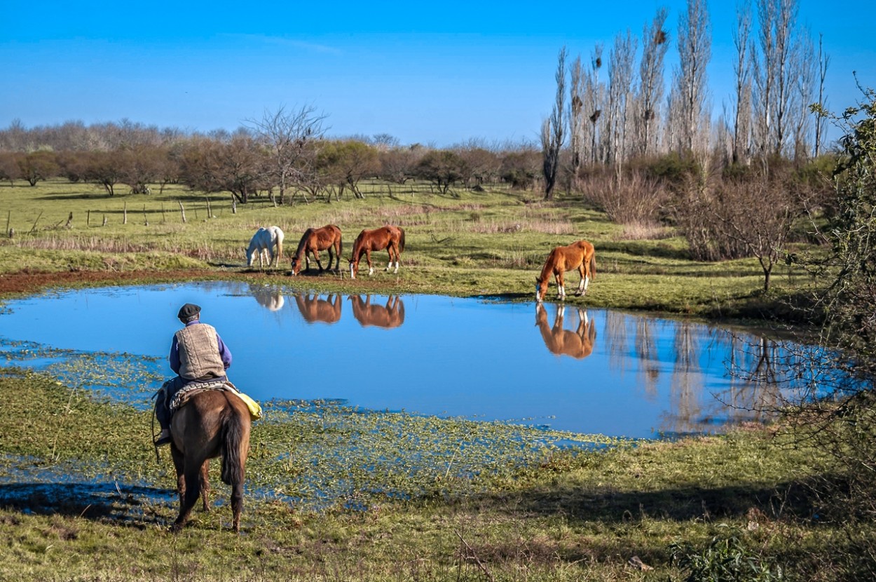 "Un alto en el camino" de Julio Strauch