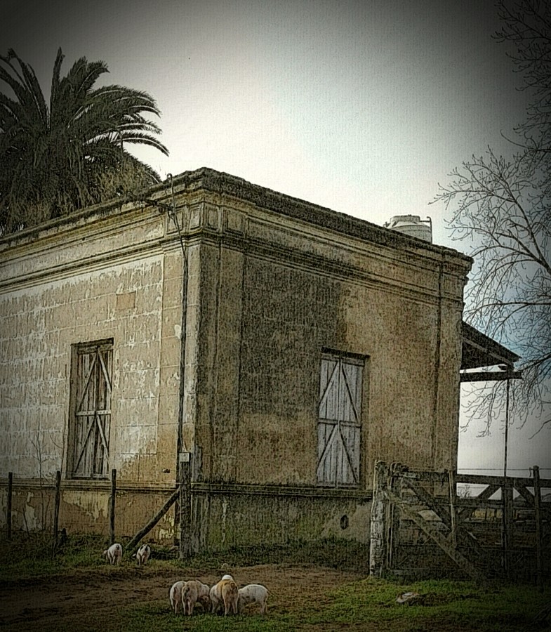 "estancia" de Isabel Corbera