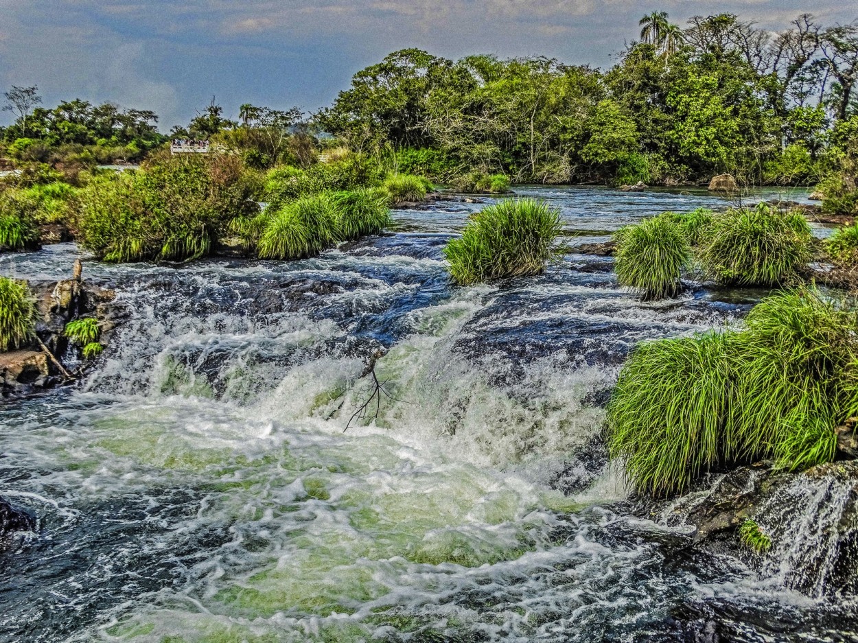 "Torrente" de Ruperto Silverio Martinez