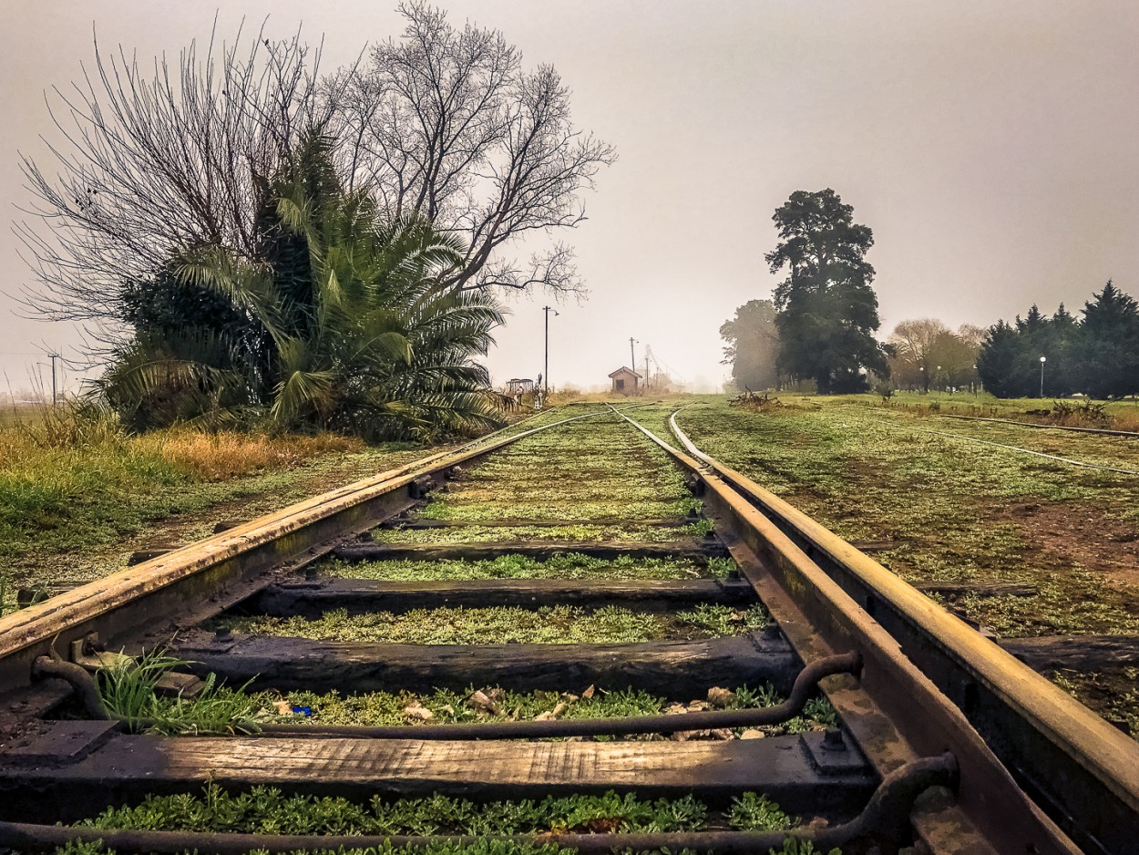 "El ferrocarril" de Fernando Valdez Vazquez