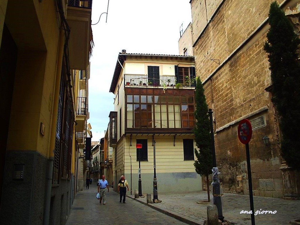 "caminando Palma" de Ana Giorno