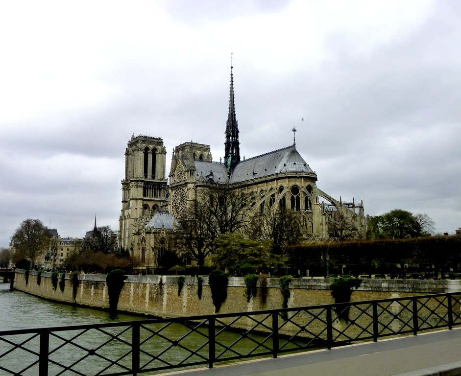 "Sobrevolando Notre Dame." de Carlos E. Wydler