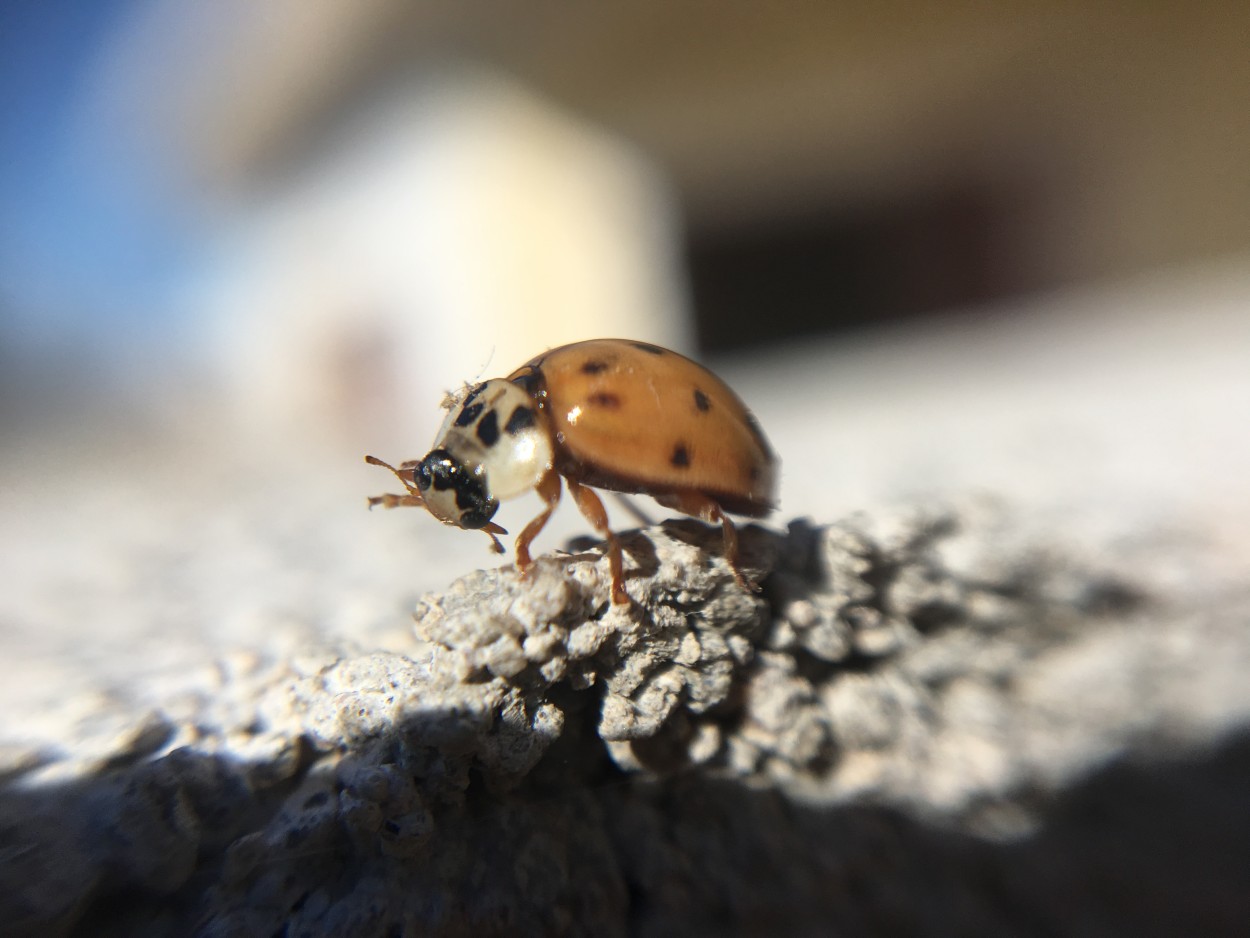 "On the rocks!" de Csar Tejeda