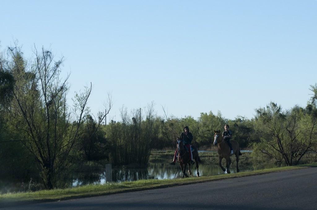 "Paseo al galope" de Ricardo H. Molinelli