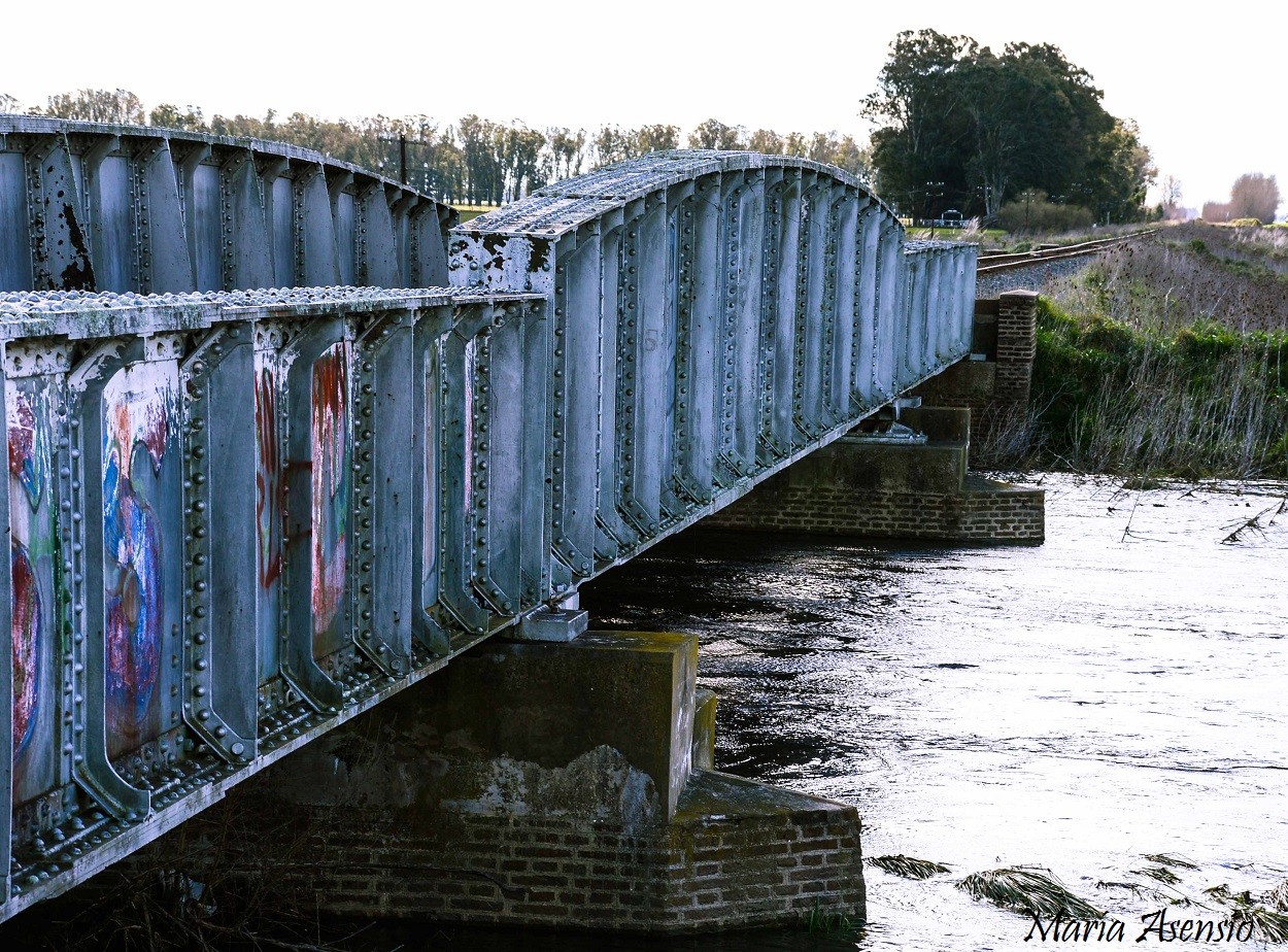 "Puente del Canal 5. Inundacin." de Maria Alejandra Asensio