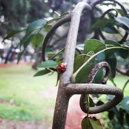 "Instantes" de Maria Montes