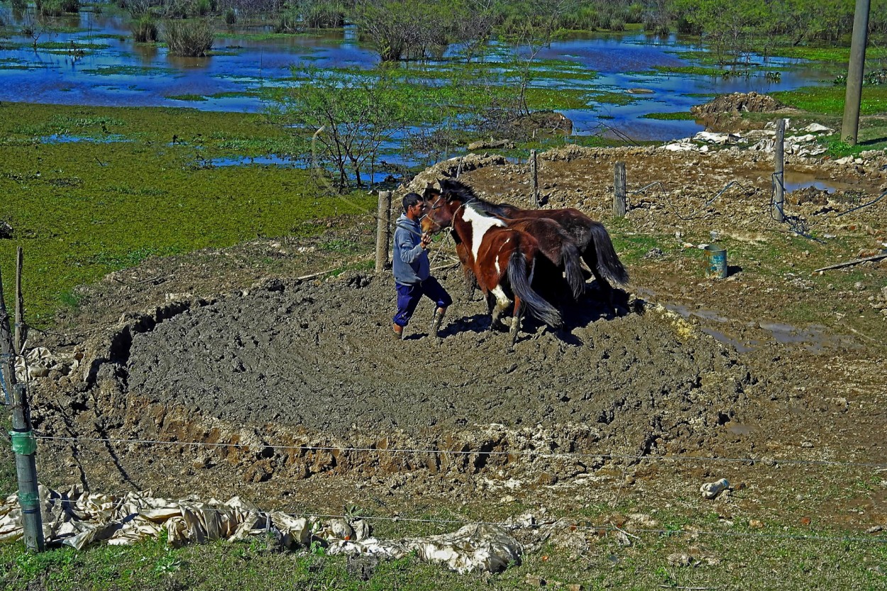 "Pisadero" de Ruperto Silverio Martinez