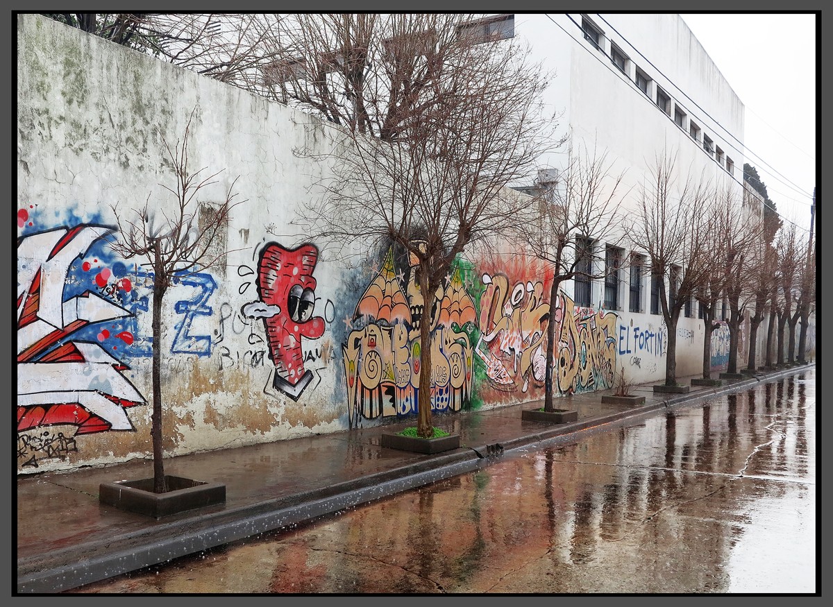 "Brillos de una lluvia anunciada" de Jorge Vicente Molinari