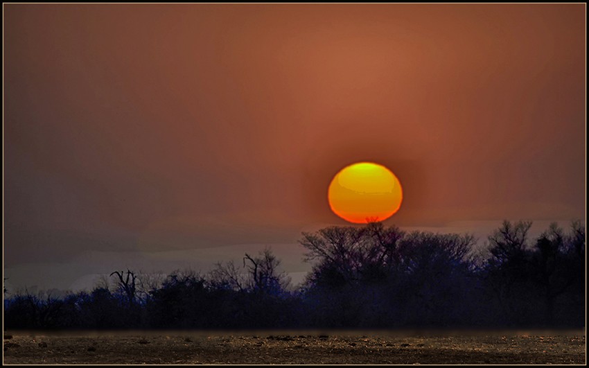 "Sol de Invierno" de Ruben Perea