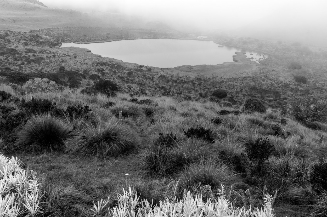 "Laguna encantada..." de Ovidio Alberto Arenas