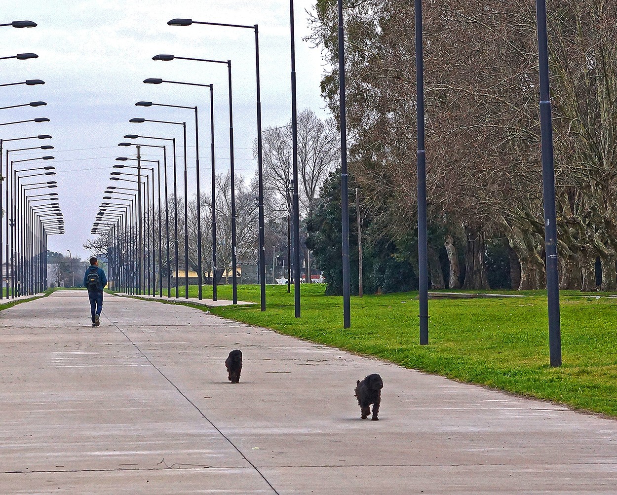 "Tres Cachorros" de Gerardo Saint Martn