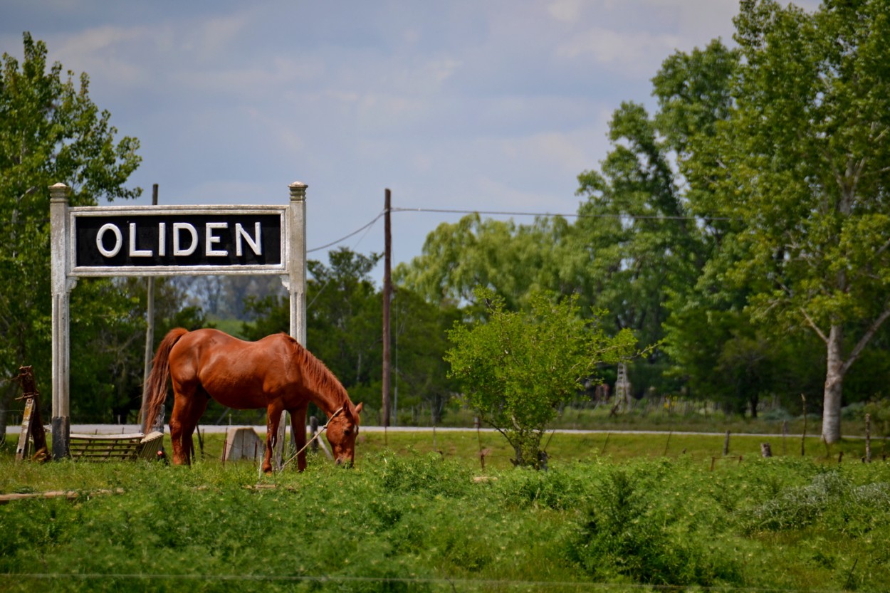 "El caballo de Oliden" de Carlos D. Cristina Miguel