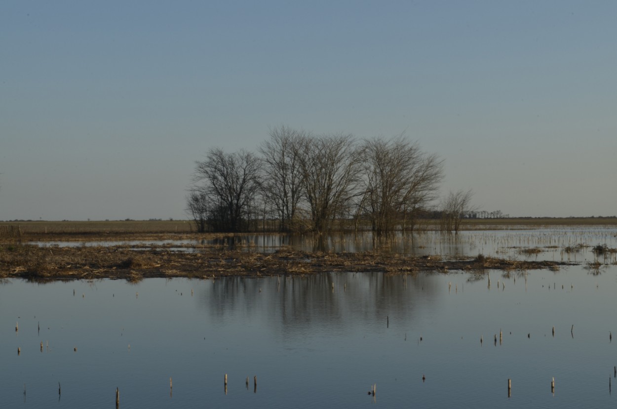 "Campo Inundado." de Ismael Minoves