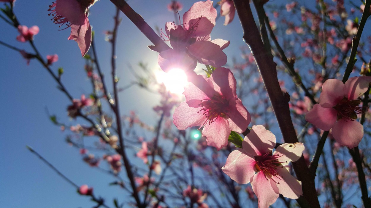 "Primavera" de Csar Tejeda