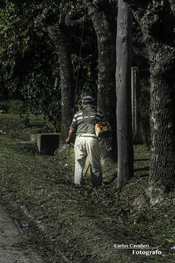 "Abriendo camino" de Carlos Cavalieri