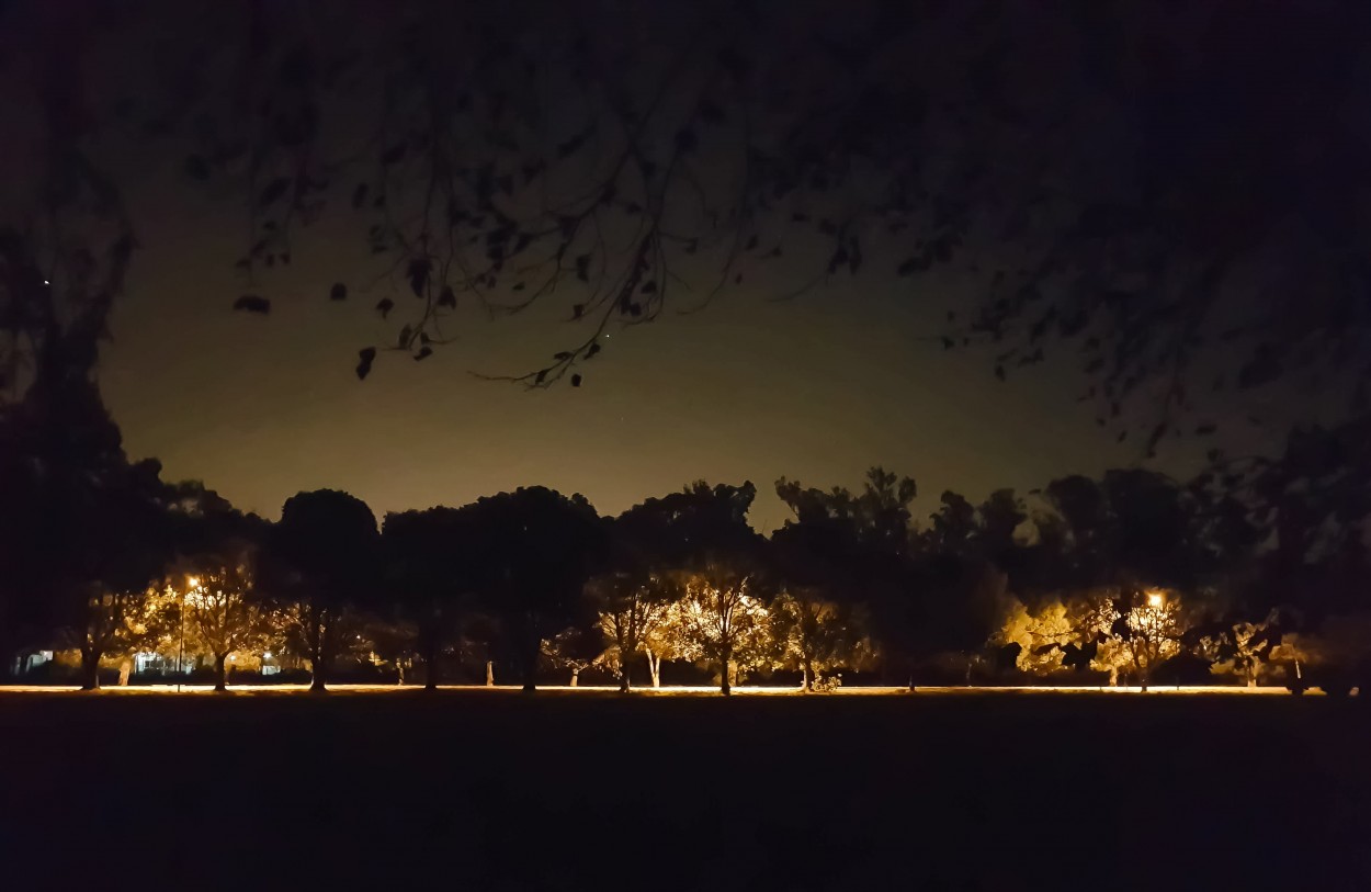 "Sendero en luz" de Marzioni Martn Luis