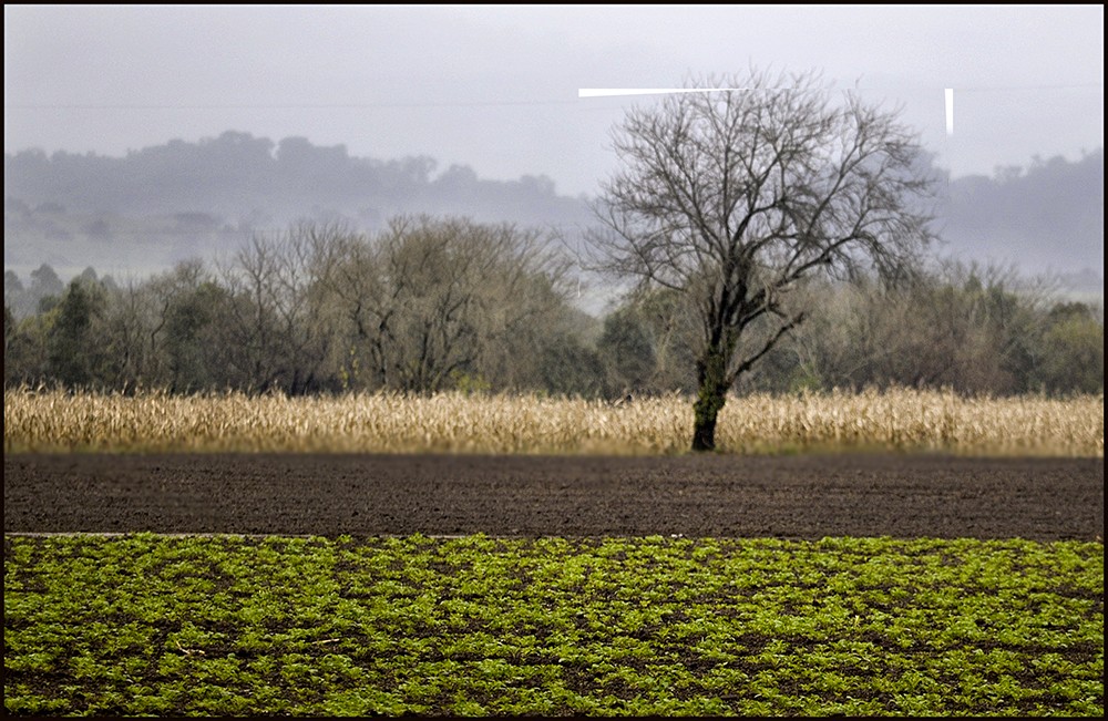 "Paisaje rectangular" de Ruben Perea