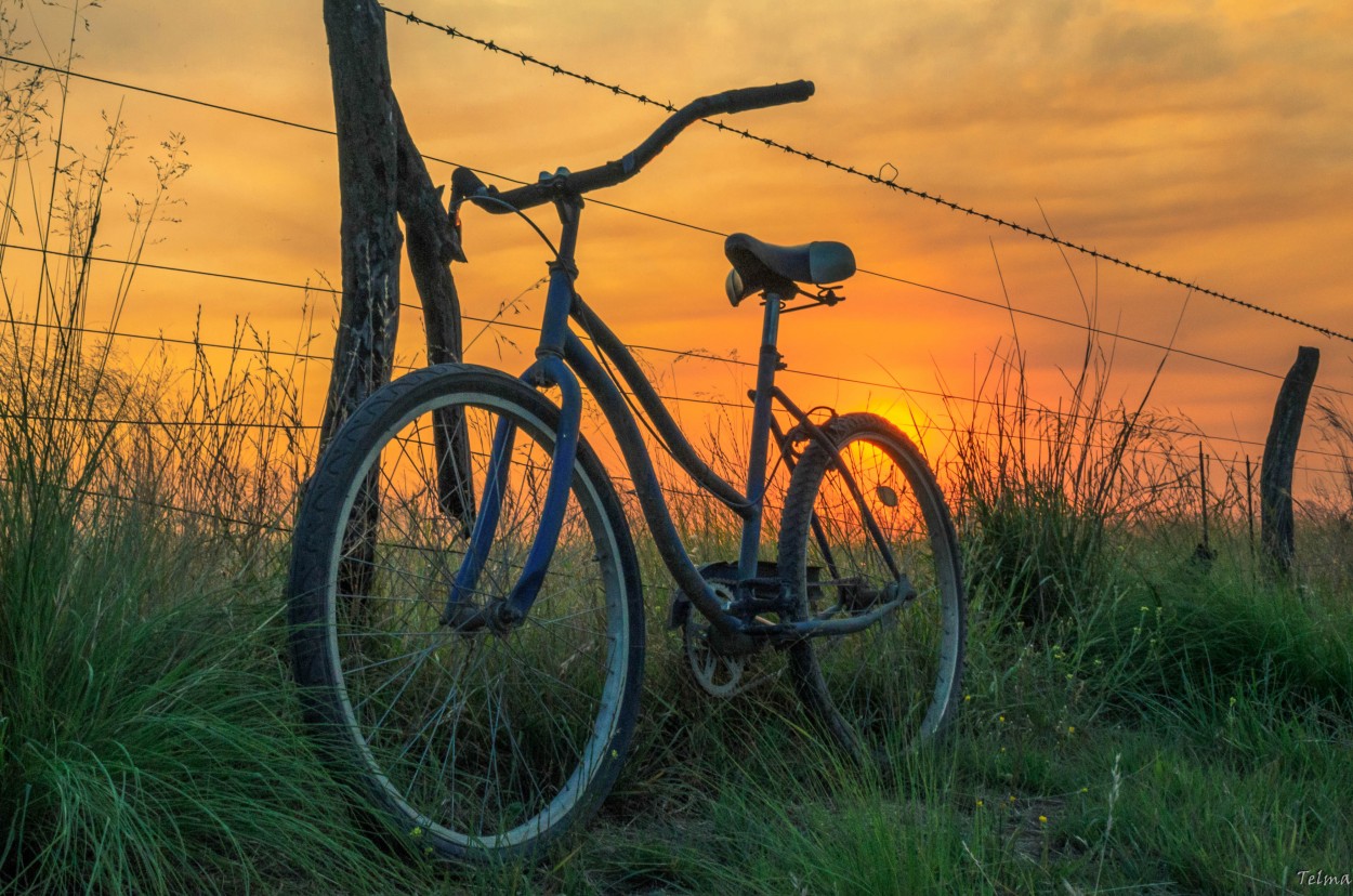 "Mi vieja bicicleta, mi cmara y yo..." de Telma Pereyra