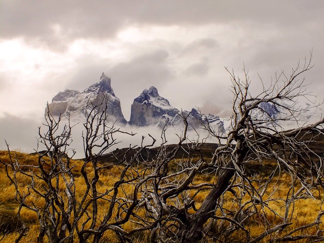 "Torres del Paine" de Michael Mella Bravo