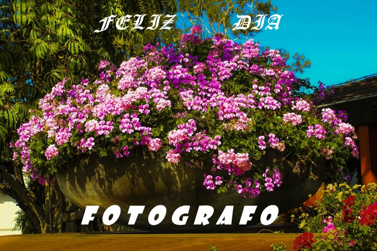 "Dia del Fotgrafo y de la Primavera" de Marta Dominici