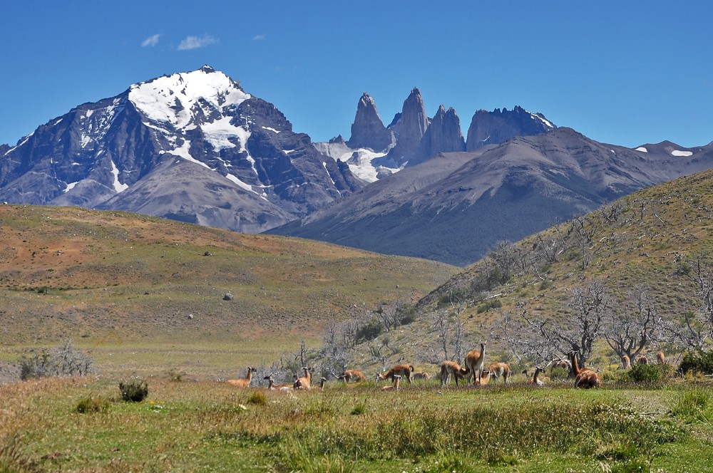 "Las Torres del Paine" de Osvaldo Sergio Gagliardi