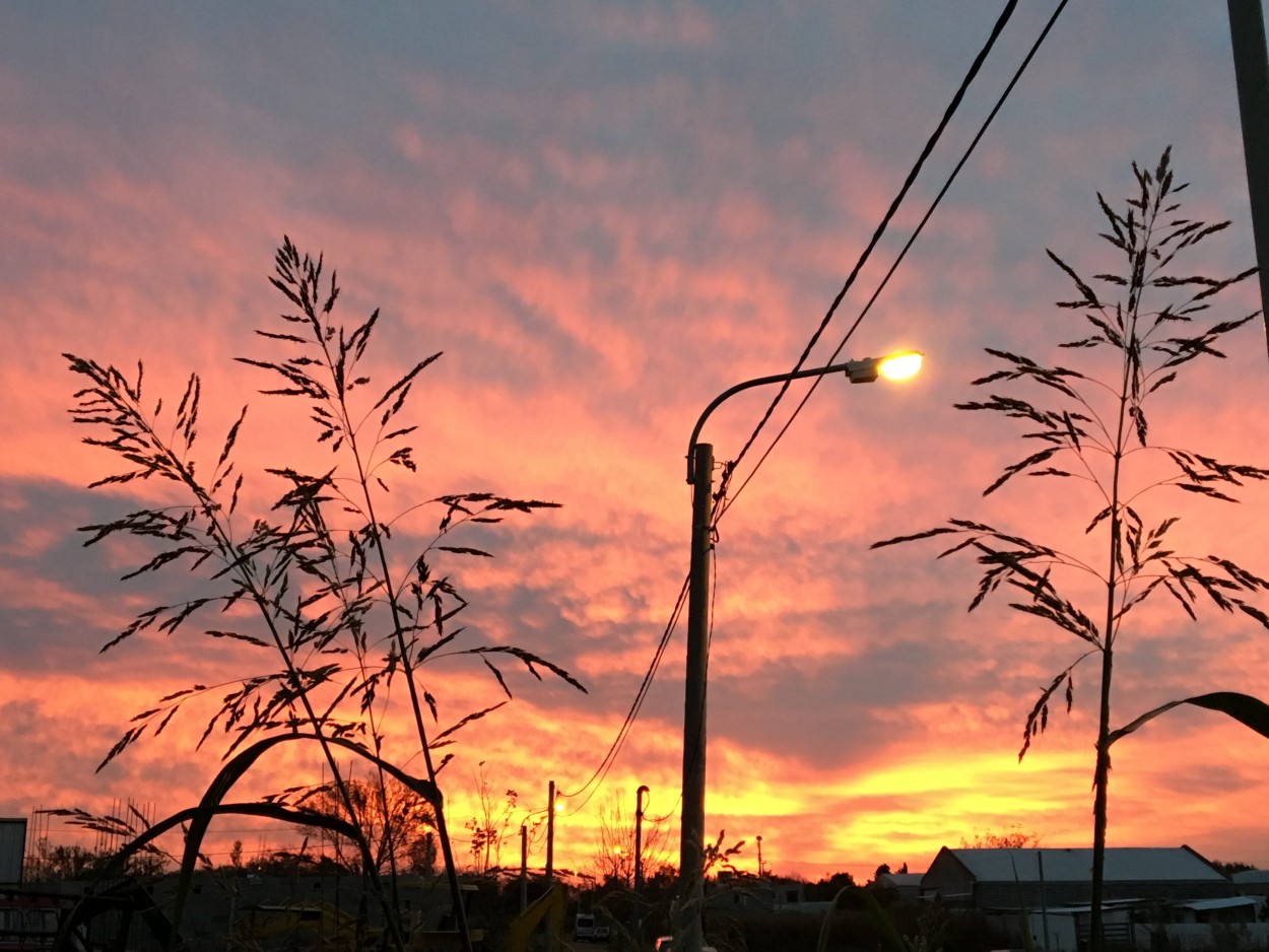 "Cae la tarde..." de Csar Tejeda