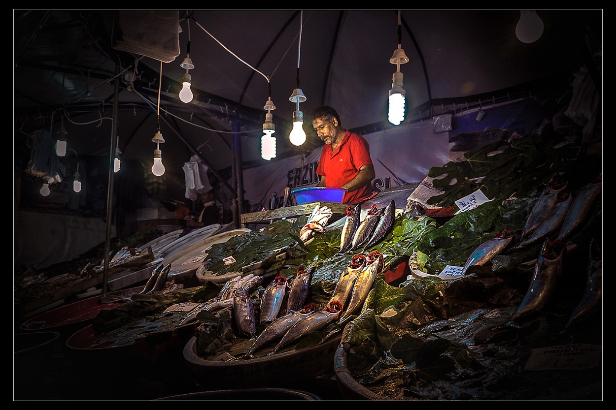 "LLego el Pescador" de Fabian Cavallo