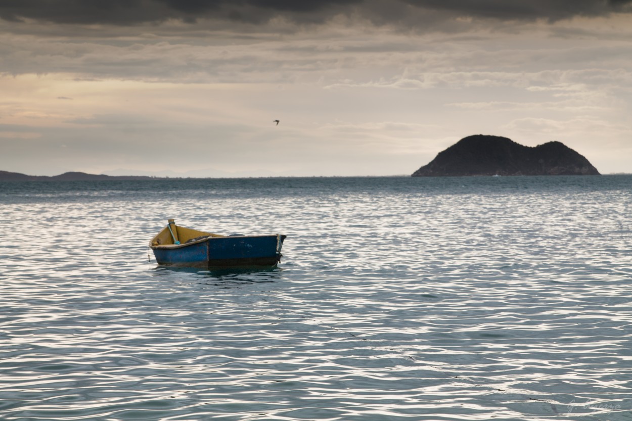 "La barca" de Gustavo Ayerza