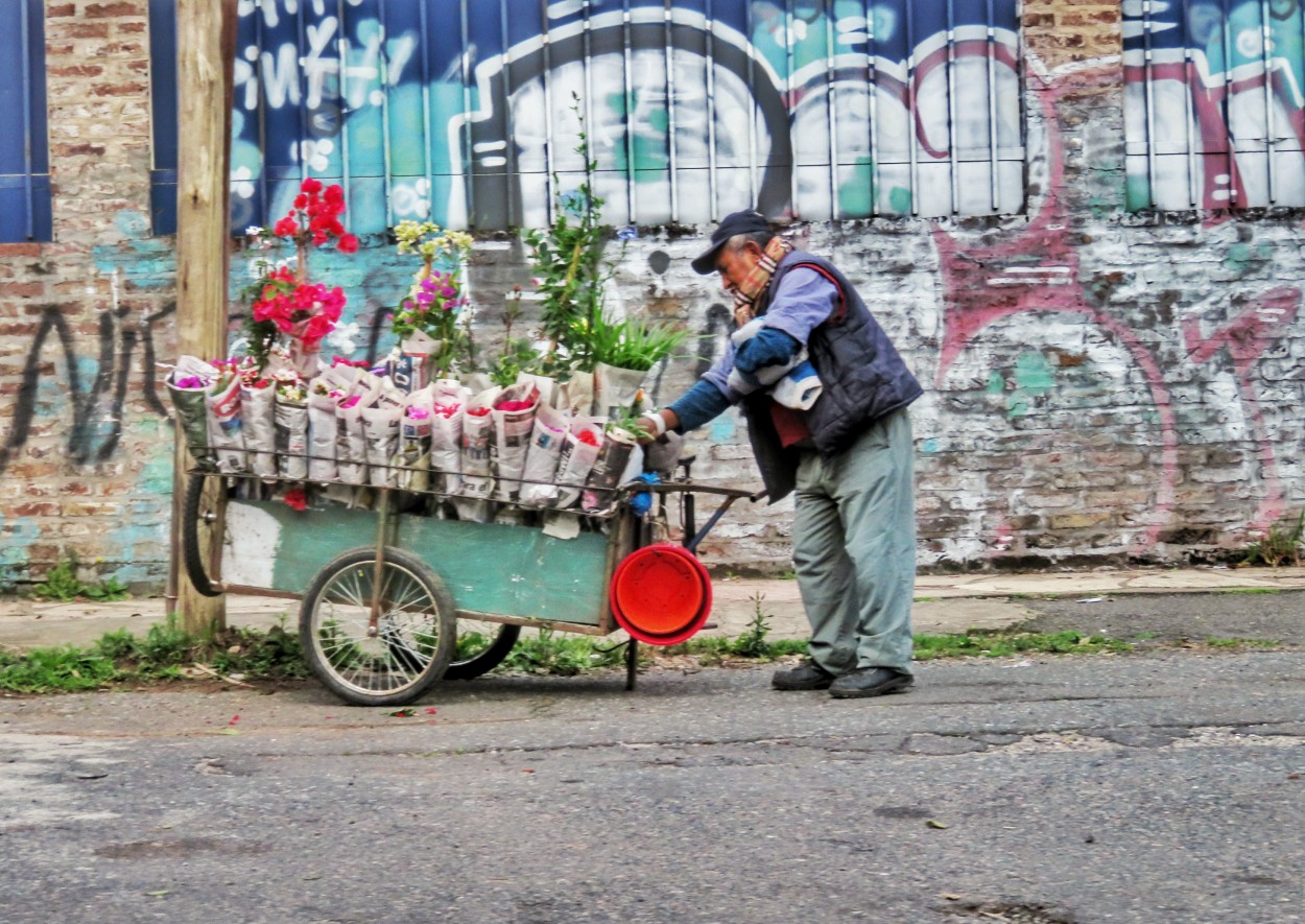 "Flower power" de Daniela Ledesma