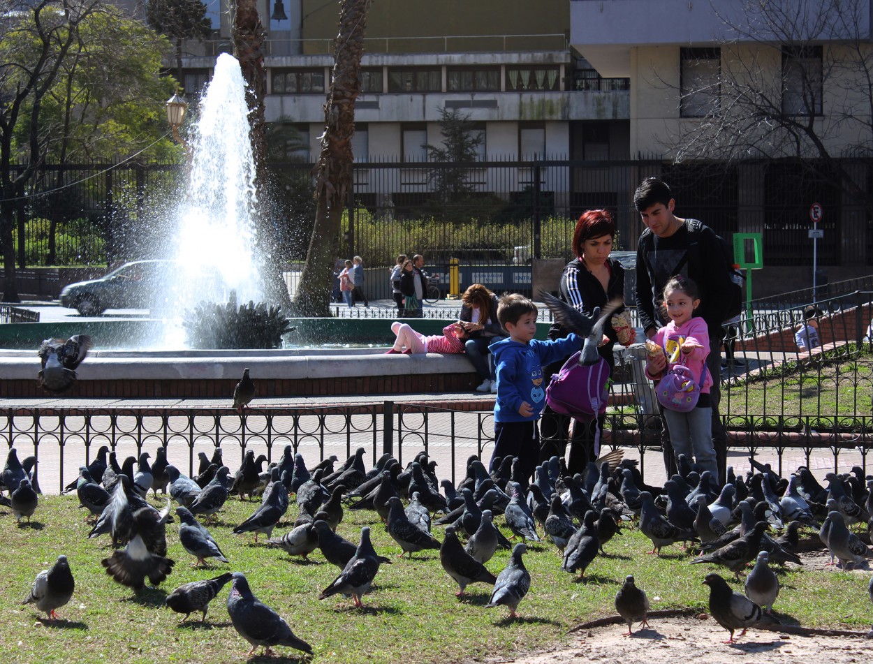 "En La Plaza de Mayo..." de Silvia Emilia Guerra