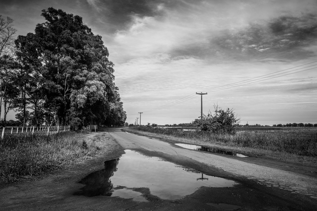 "Charcos en el camino" de Fernando Valdez Vazquez