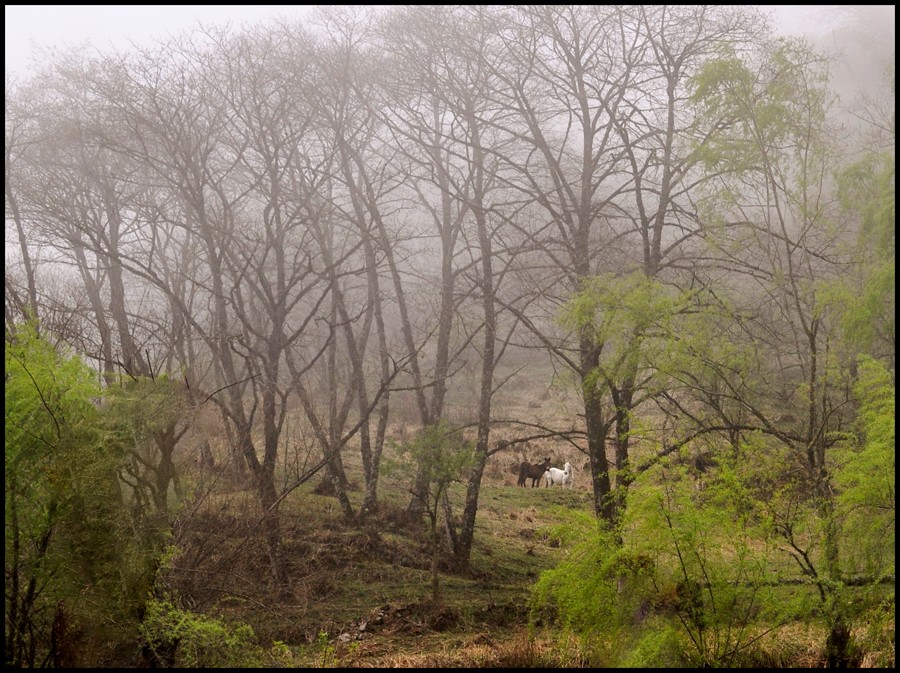 "paisaje en la serrania" de Ruben Perea