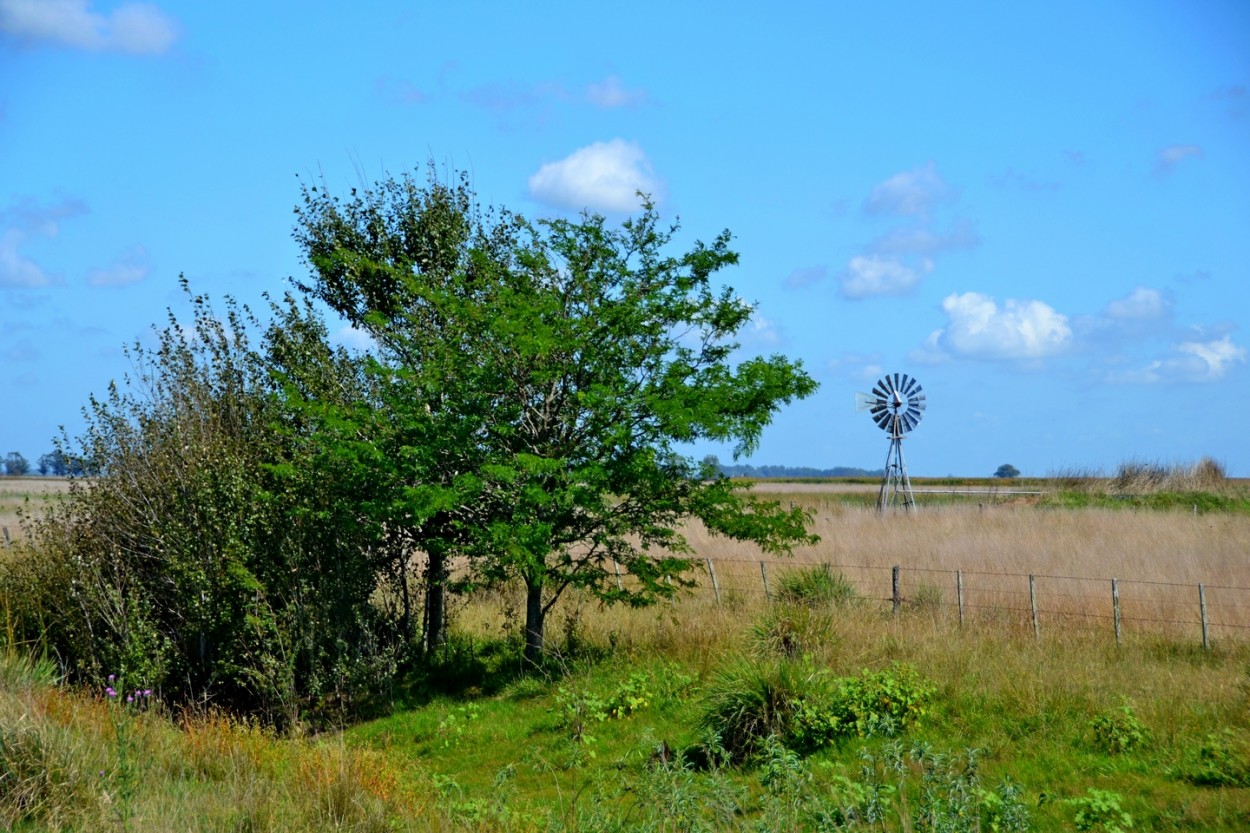 "Campo argentino" de Carlos D. Cristina Miguel