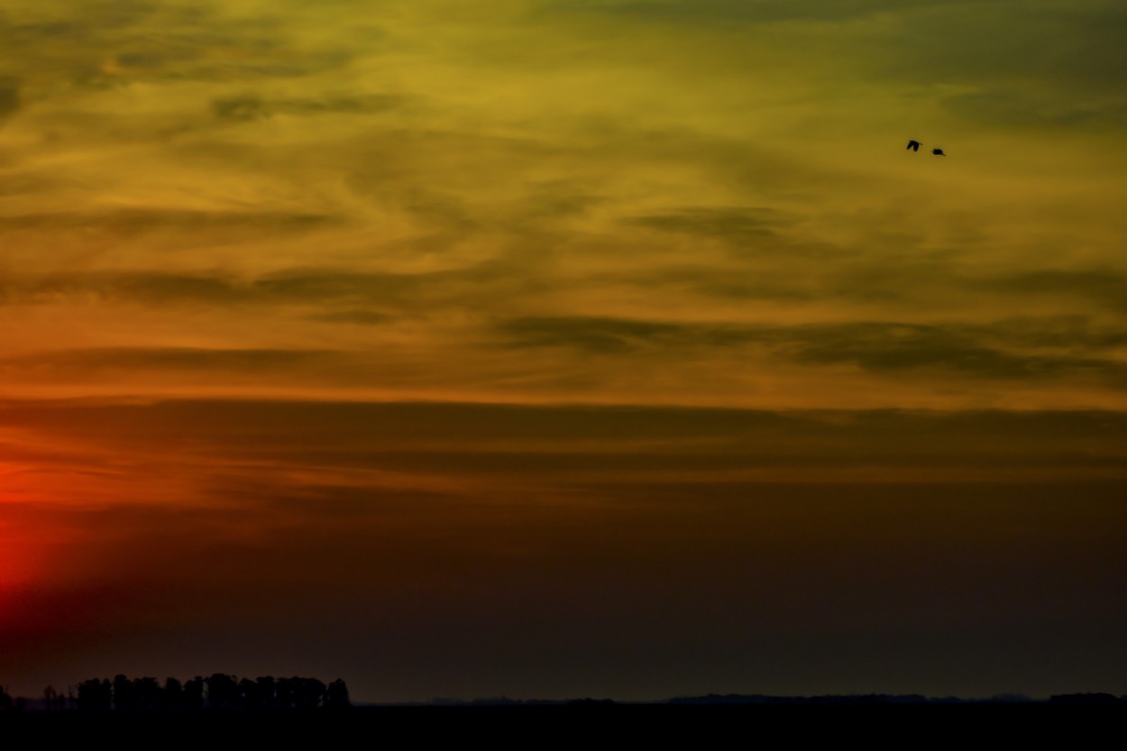 "Vuelo al atardecer" de Adriana Claudia Gallardo