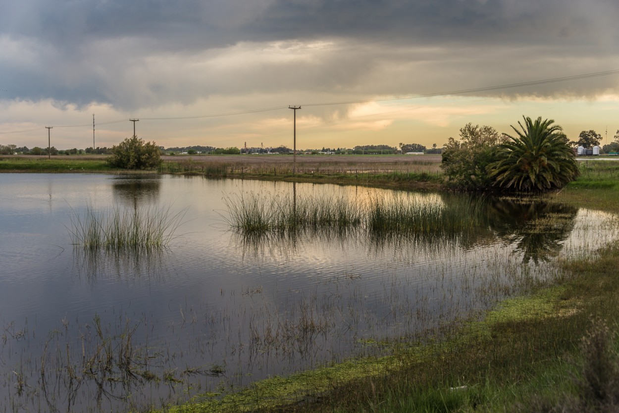 "La lagunita" de Fernando Valdez Vazquez