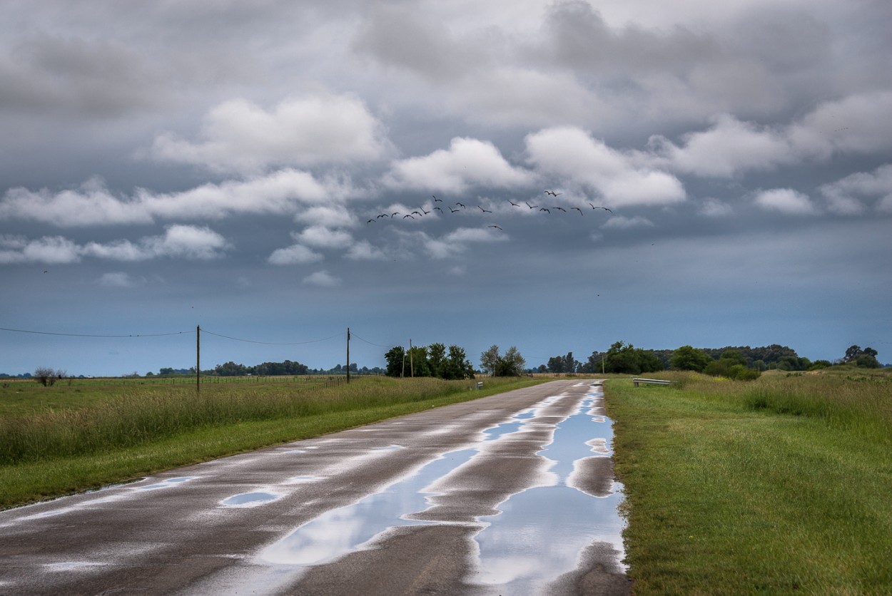 "Reflejos en la ruta" de Fernando Valdez Vazquez