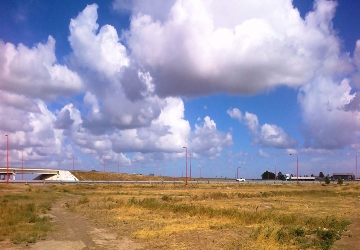 "algodones gigantes`" de Victor Bruno Barrios