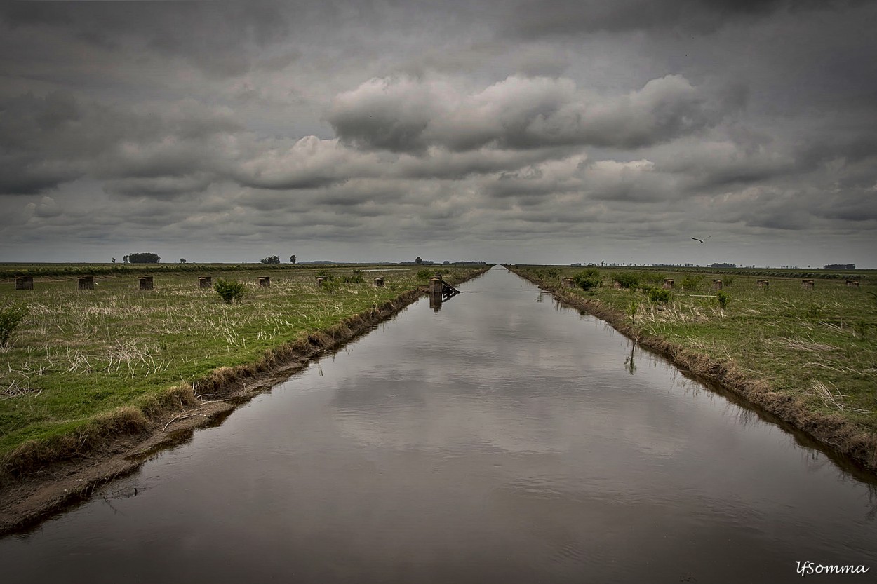 "Canal 9" de Luis Fernando Somma (fernando)