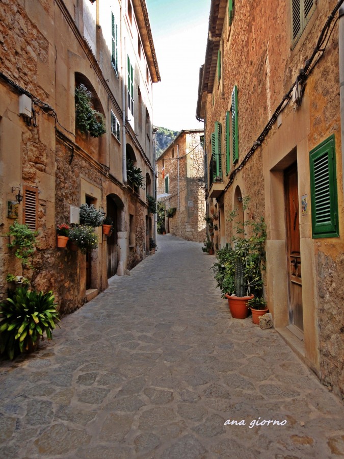 "la calle de las flores" de Ana Giorno