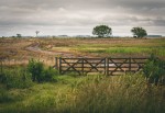 La entrada