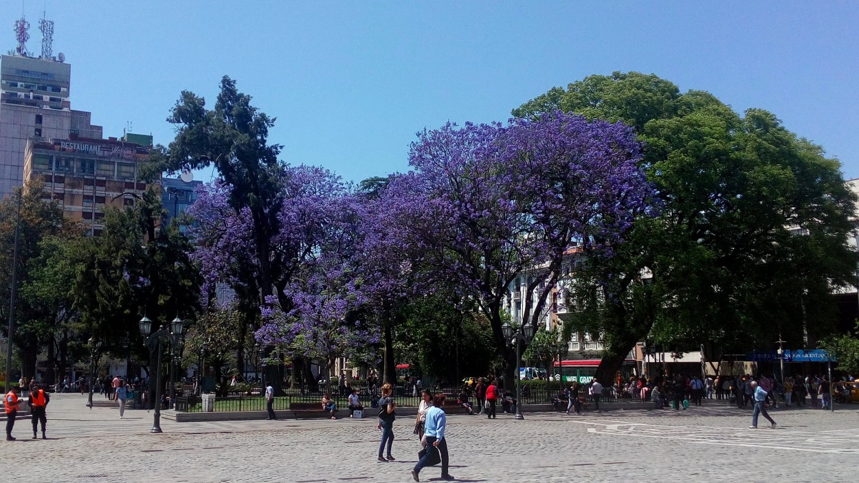 "Plaza San Martn cordoba" de Eduardo Rene Cappanari