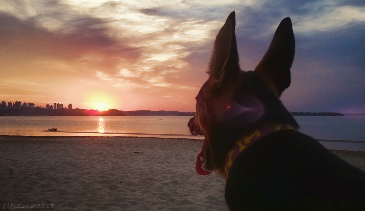 "XARA mirando el atardecer" de Luis S. Jaime