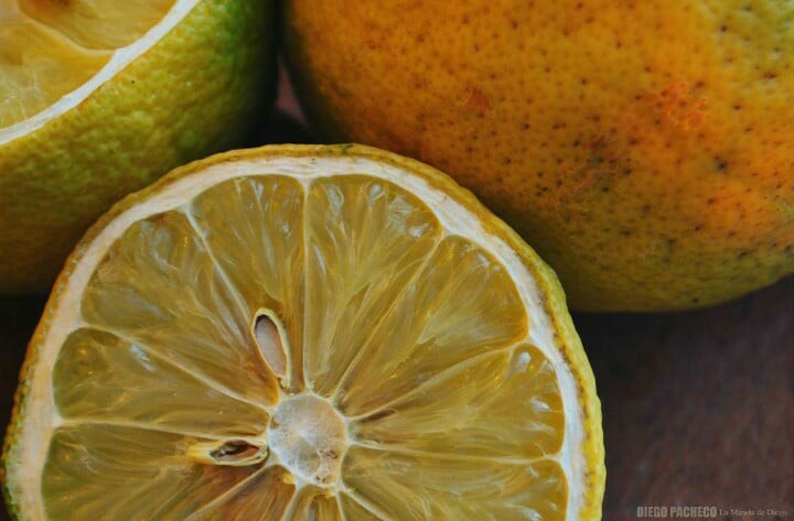 "Retratando limones" de Diego Pacheco