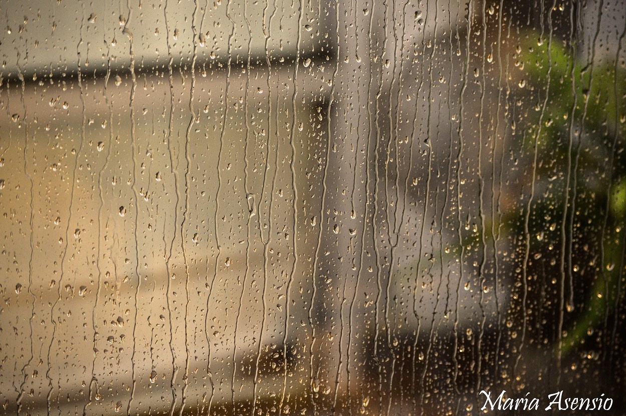 "Tarde de lluvia" de Maria Alejandra Asensio