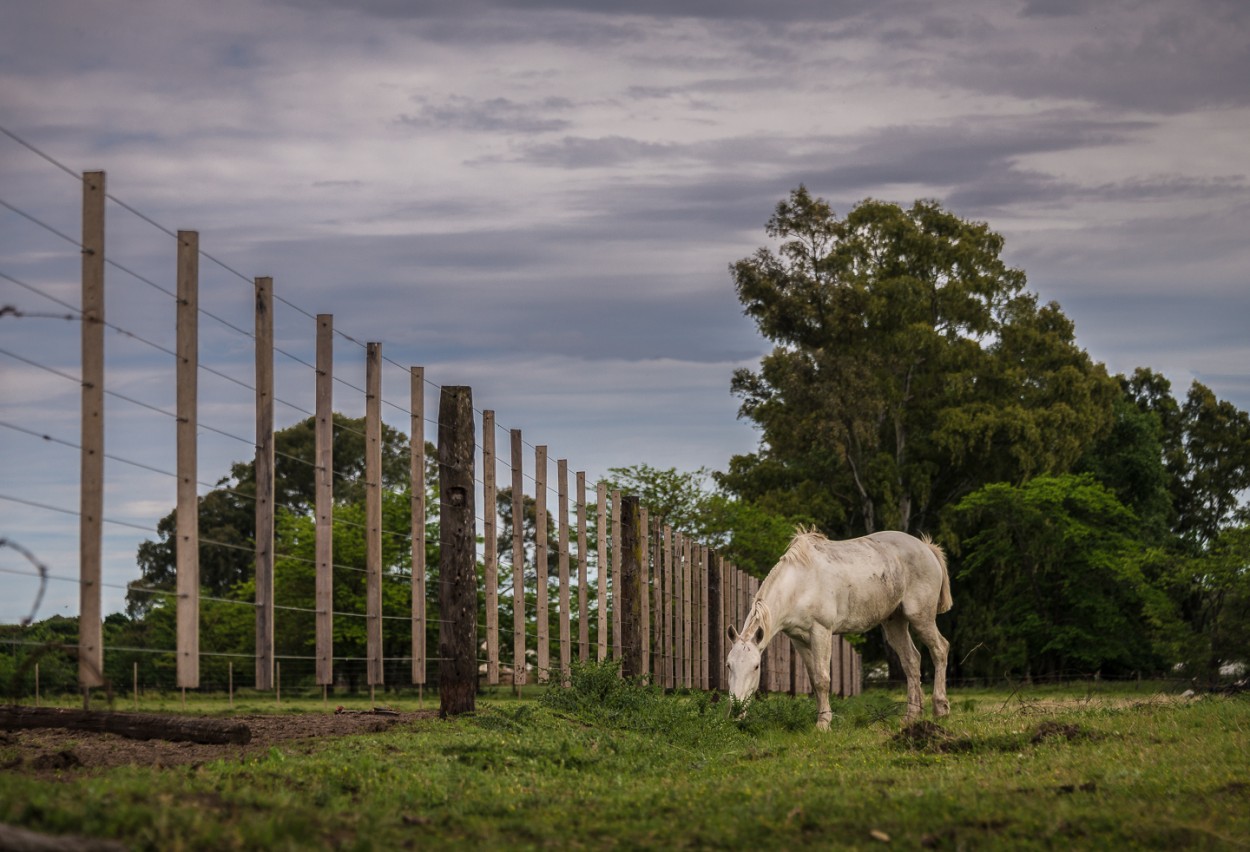 "En perspectiva" de Fernando Valdez Vazquez