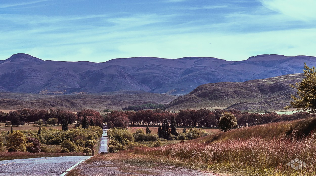 "`Caminito de Hormigas` - Sierra de la Ventana" de Federico Dell Orso