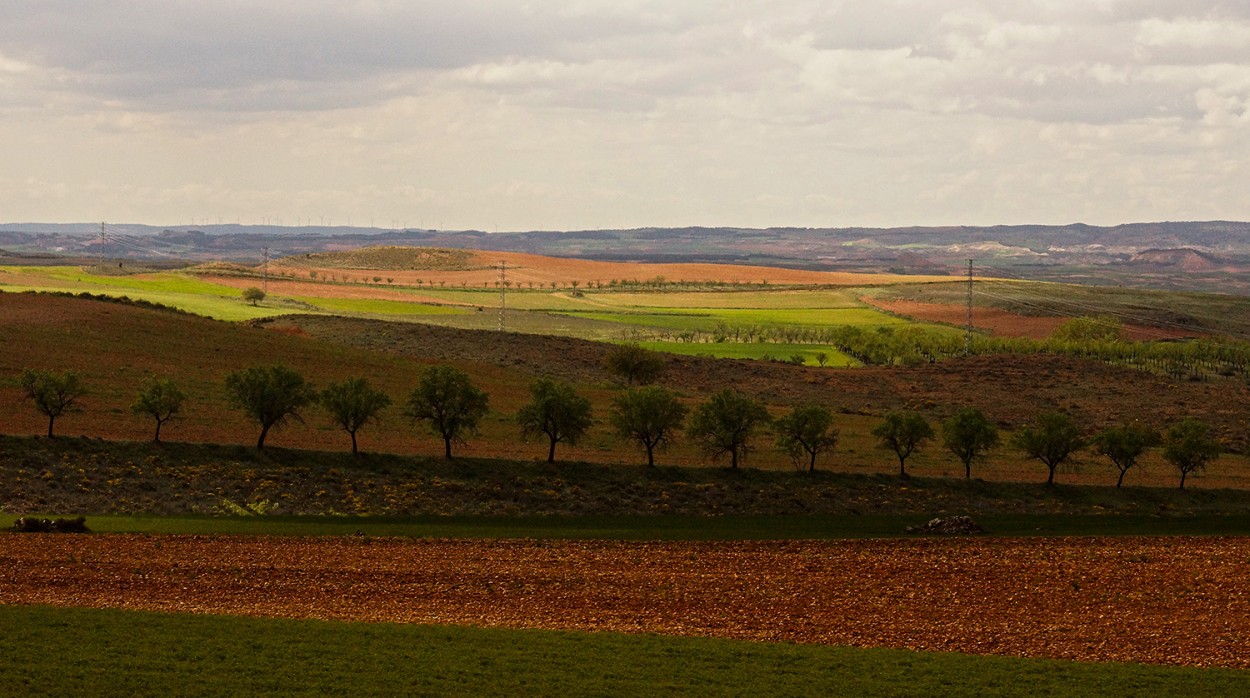 "Horizontales" de Gerardo Saint Martn